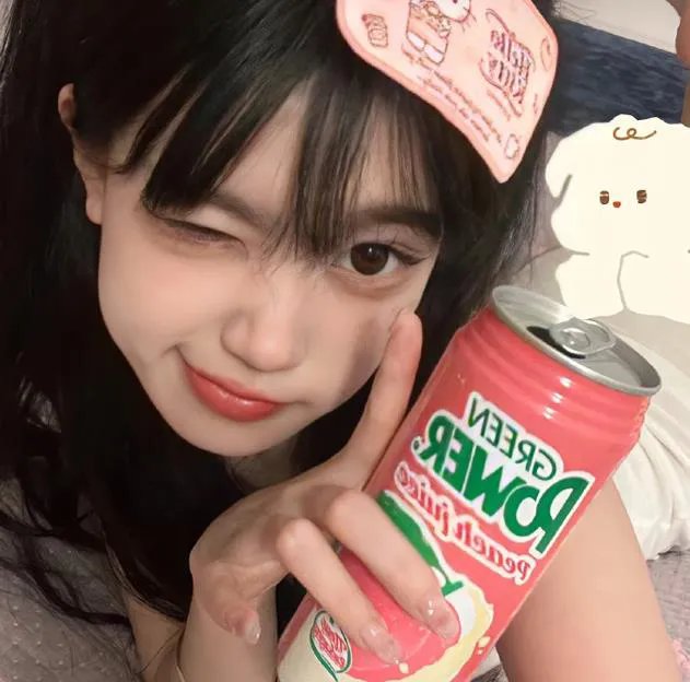 双凤奇案 海报