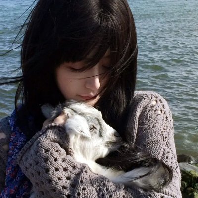 犹太狮子 海报